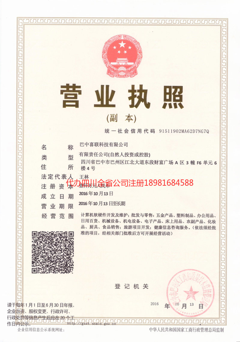 河池河池喜联科技有限公司